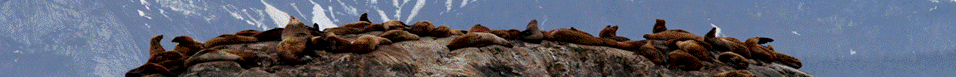 Banner image displaying nature or cultural scenes.